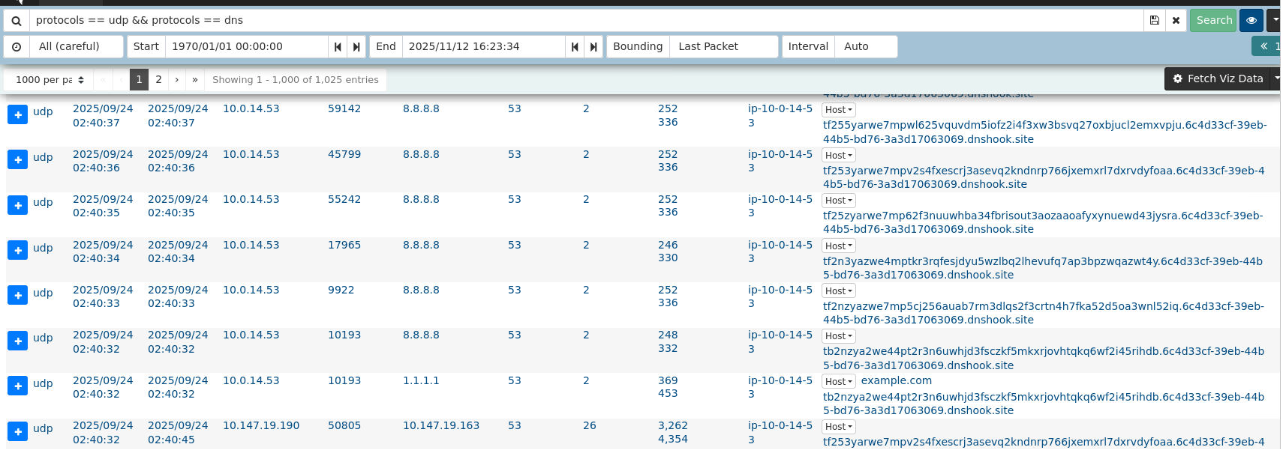 Malware configuration evidence