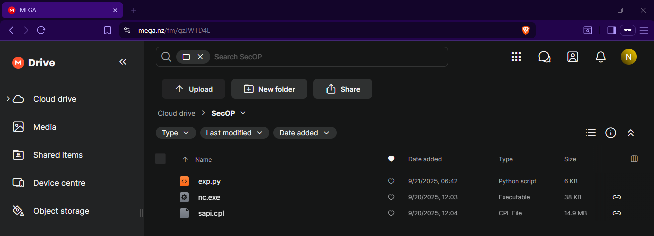 File inside the adversary's MEGA account