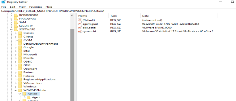 Action1 registry key contents 2