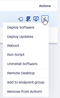 Console action menu for an endpoint