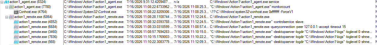 monitorcount and action1_remote.exe process chain