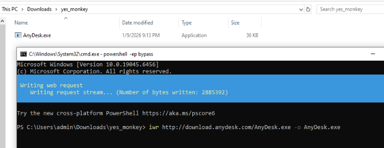 Download AnyDesk via CLI