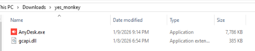gcapi.dll downloaded alongside AnyDesk executable