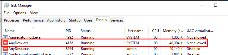 AnyDesk instances