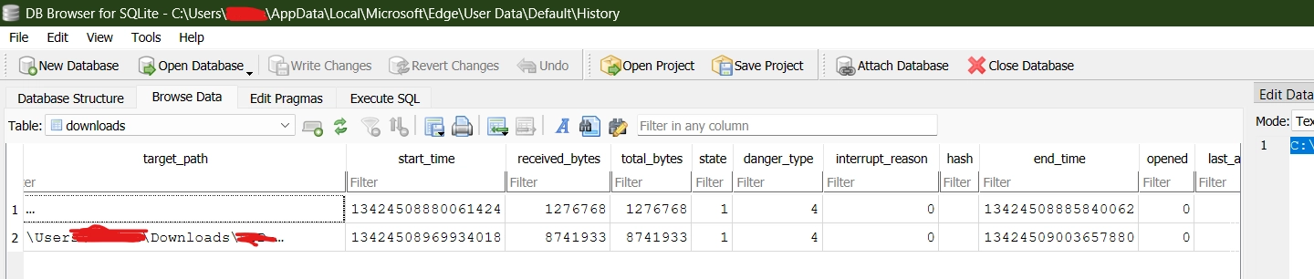 Chromium download interrupt reason value in the downloads history table