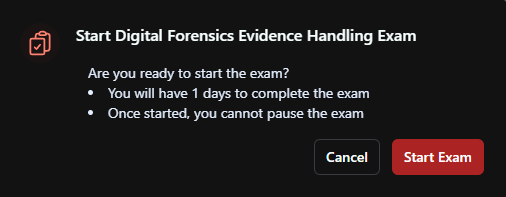 Exam started — theory questions first, hands-on second