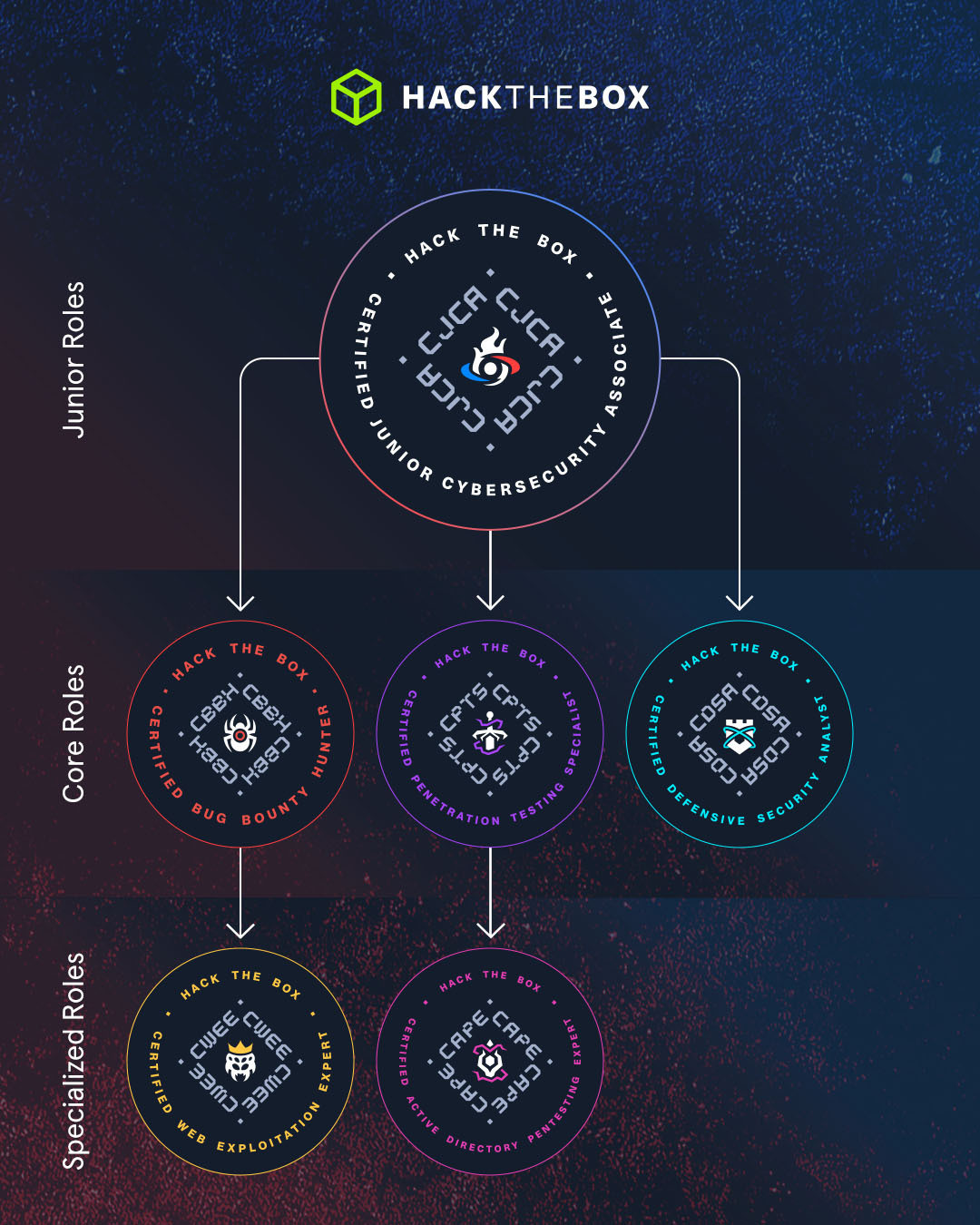 HackTheBox certification ladder — current state